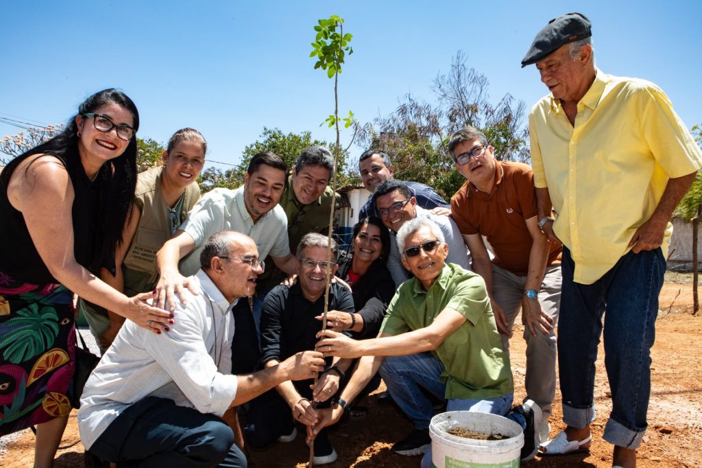 Plano Municipal de arborização prevê plantio de 25 mil mudas nos próximos dez anos